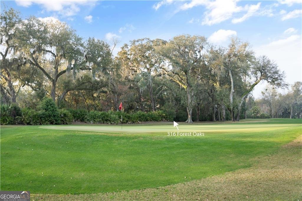 316 Forest Oaks St. Simons - 64