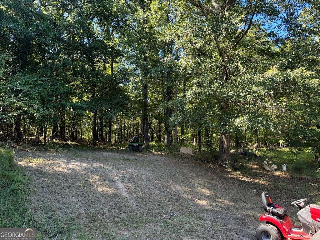 117 Island Drive NE Milledgeville - 3