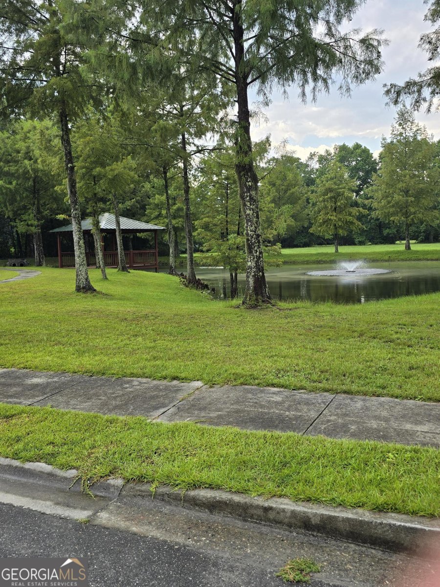 115 John Eady Court Savannah - 12