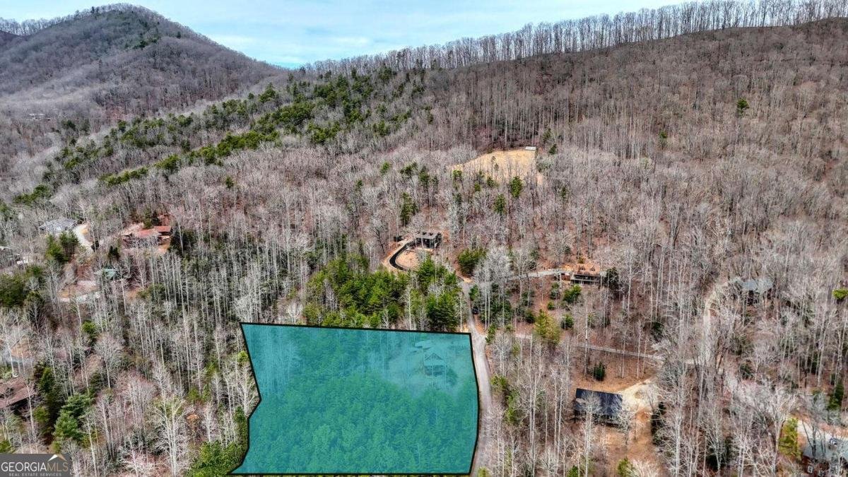 315 Hidden Branch Drive Blairsville - 38
