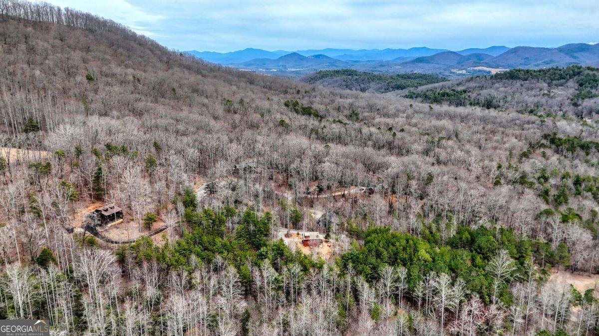 315 Hidden Branch Drive Blairsville - 39