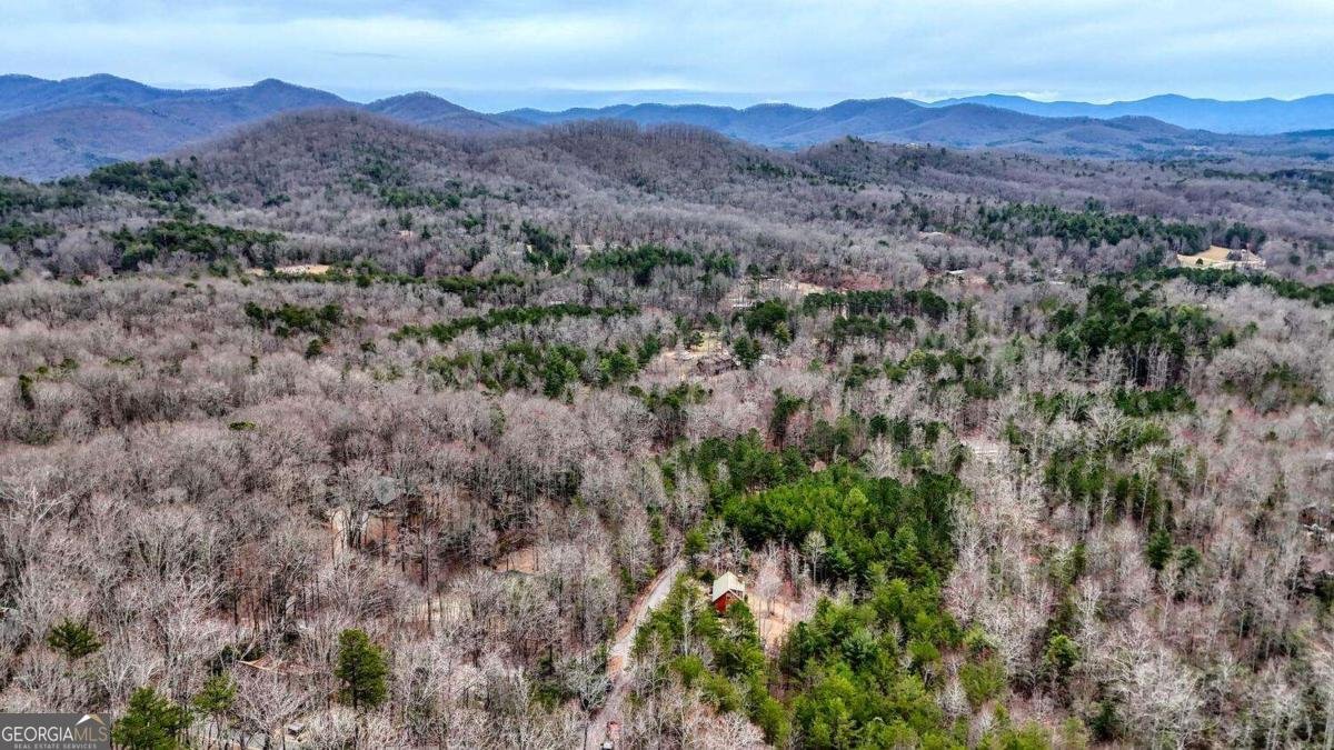 315 Hidden Branch Drive Blairsville - 41