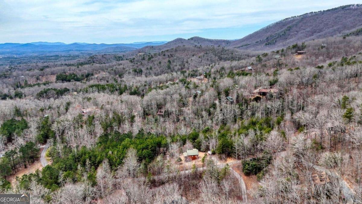 315 Hidden Branch Drive Blairsville - 42