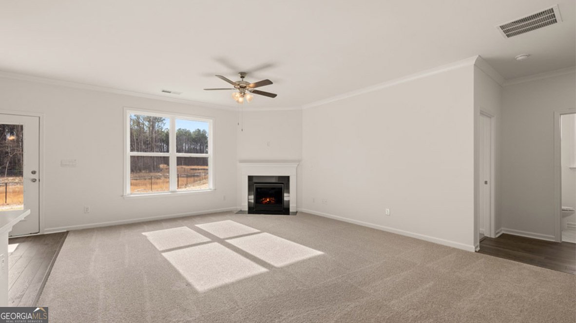 13224 Tolstoy Drive Covington - 25
