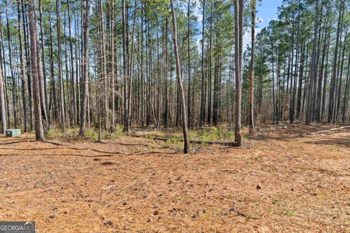 191 Crooked Creek Bay Road Eatonton - 40