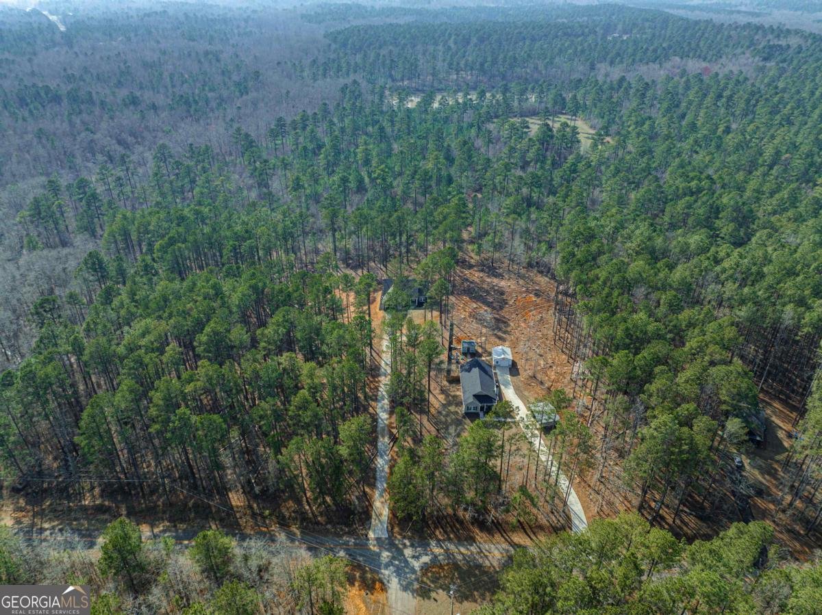 191 Crooked Creek Bay Road Eatonton - 45
