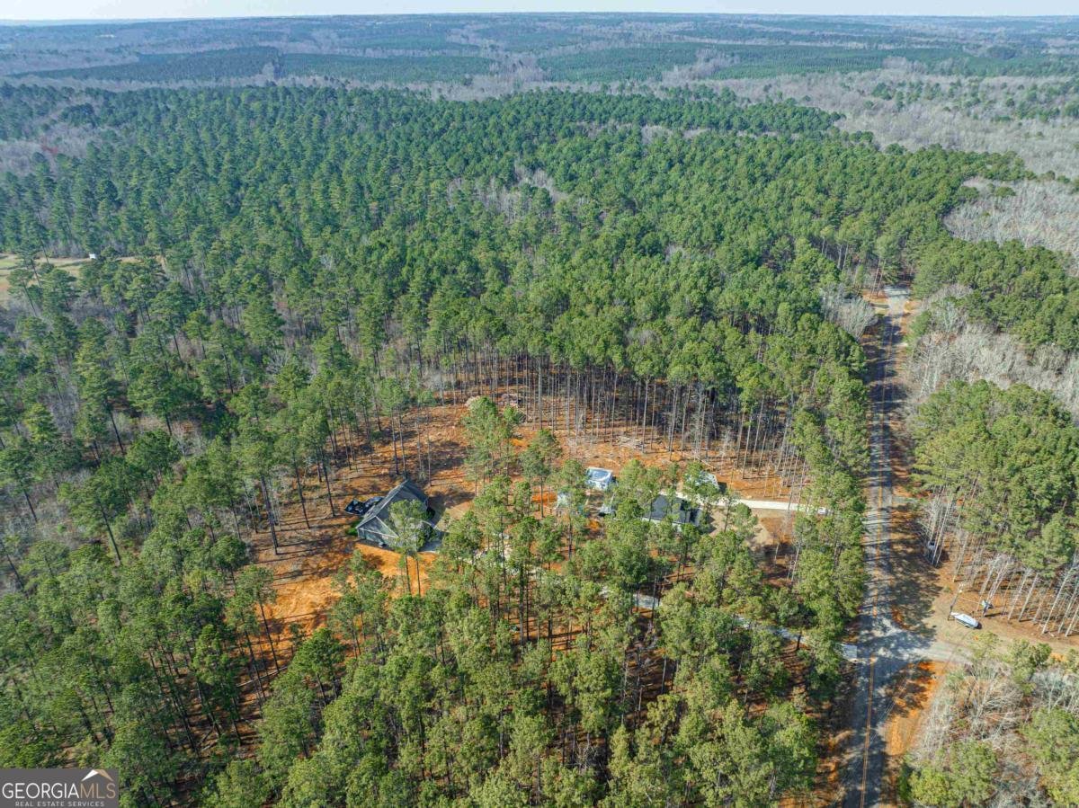 191 Crooked Creek Bay Road Eatonton - 47