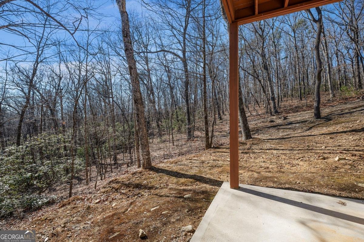 3184 Saint Andrews Way Ellijay - 19