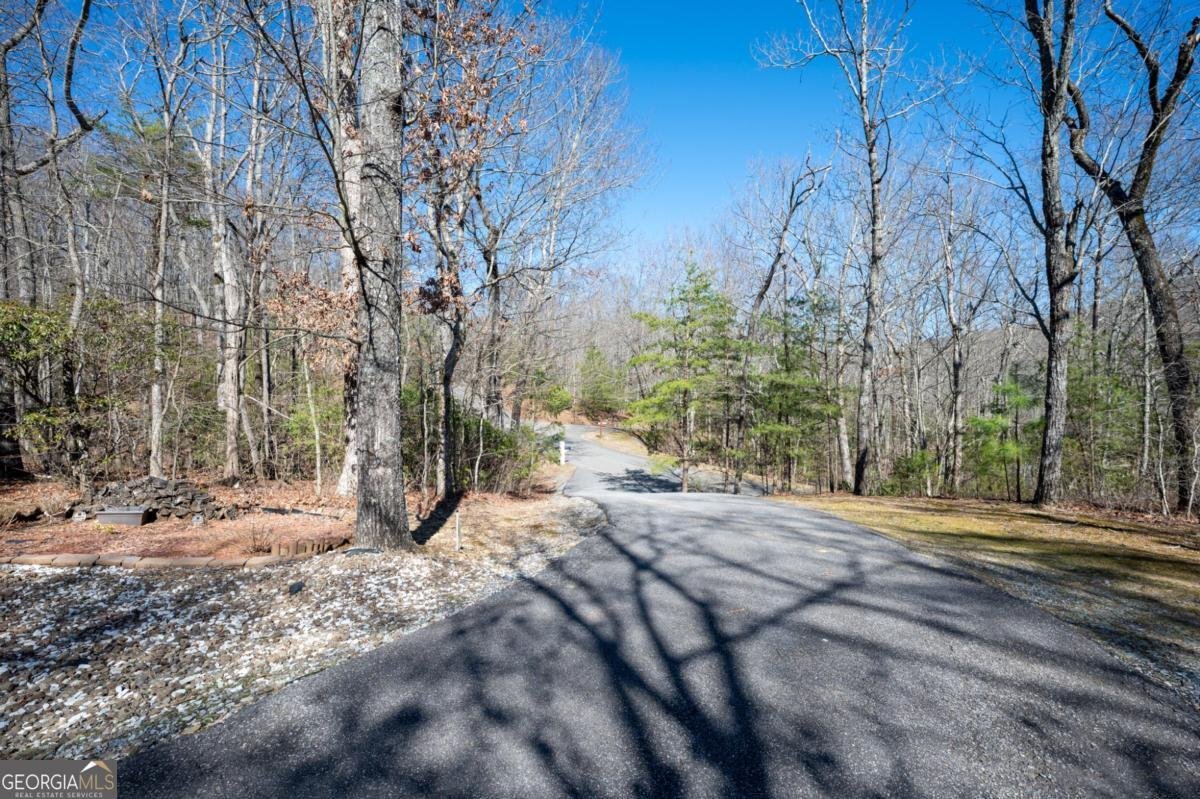 3184 Saint Andrews Way Ellijay - 28