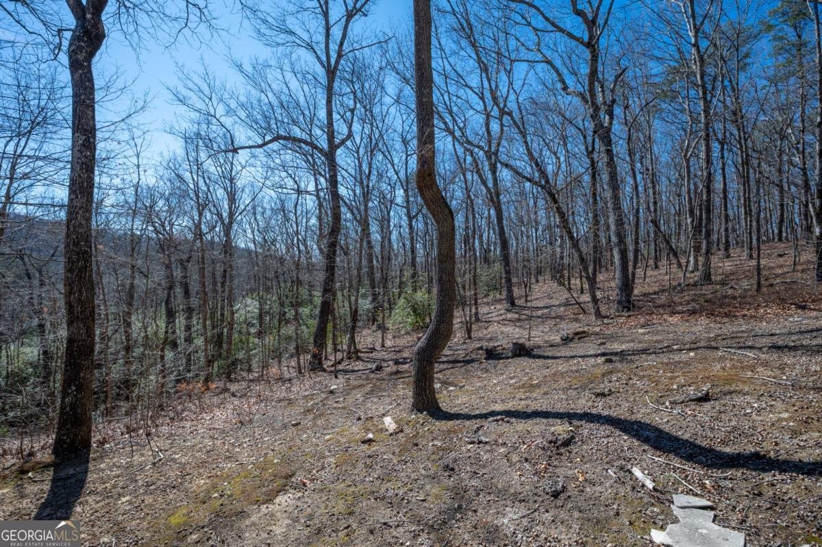 3184 Saint Andrews Way Ellijay - 29