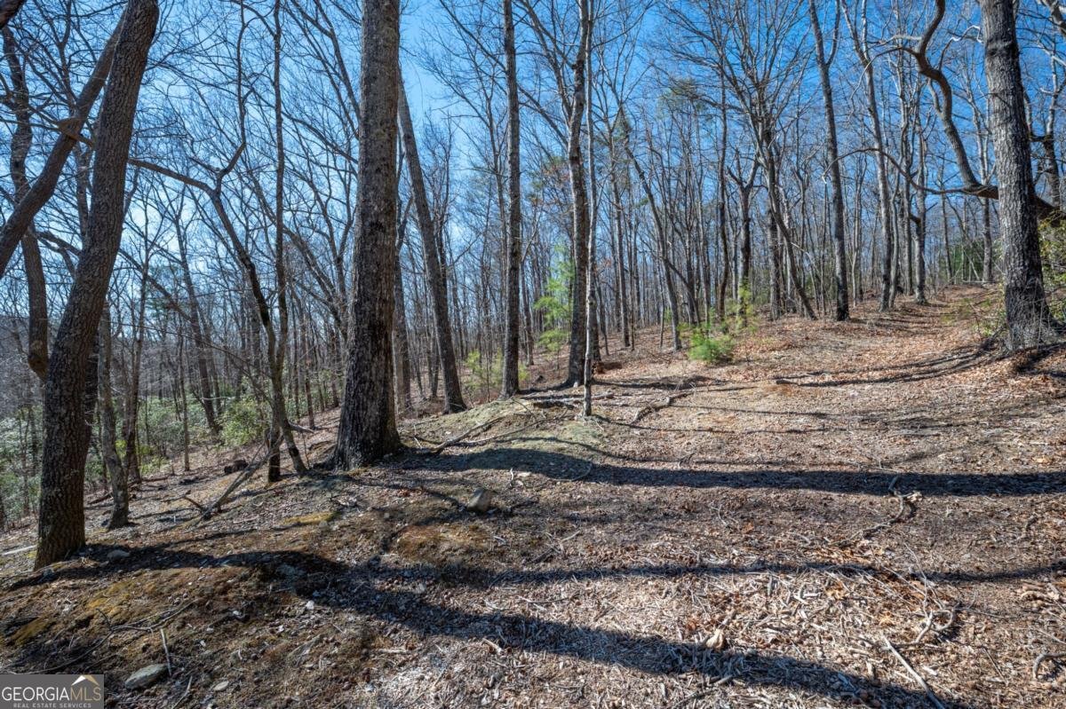 3184 Saint Andrews Way Ellijay - 30