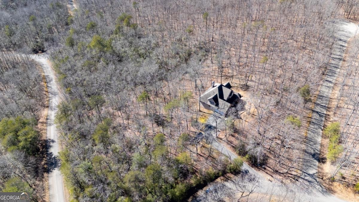 3184 Saint Andrews Way Ellijay - 32