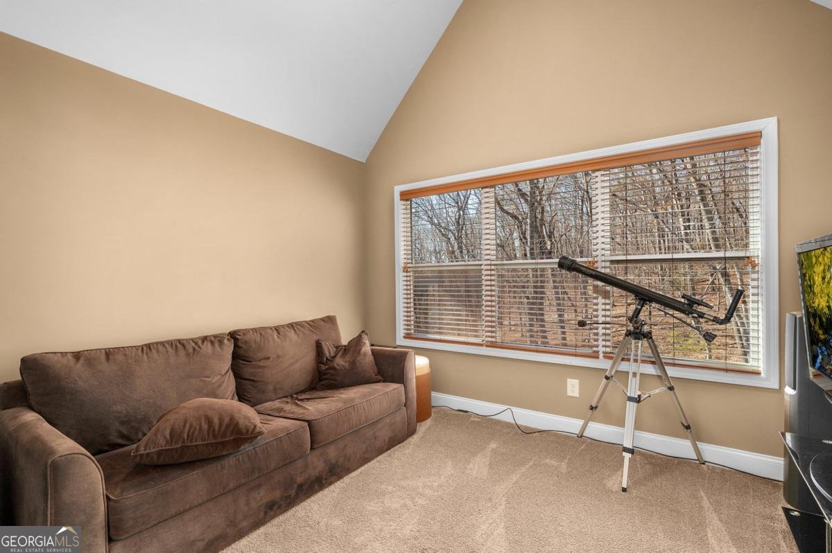 3184 Saint Andrews Way Ellijay - 47