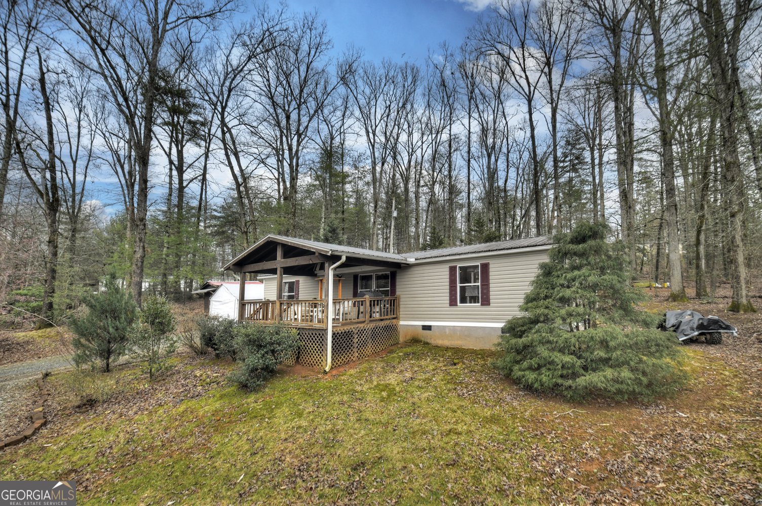59 Christel and Nathan Lane Blue Ridge - 30