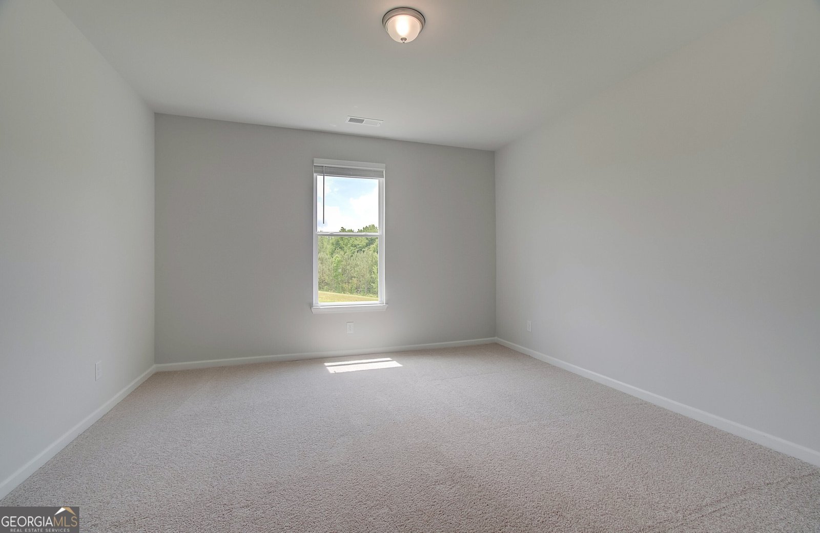 127 Felicity Pike Locust Grove - 10