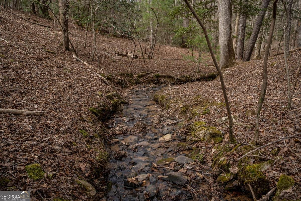 311 Ruby Lane Ellijay - 4