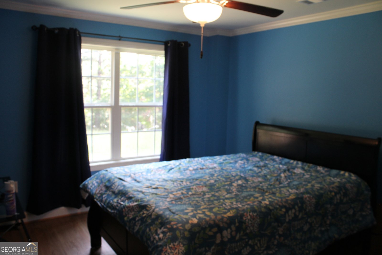 3801 Gold Leaf Court Stockbridge - 19