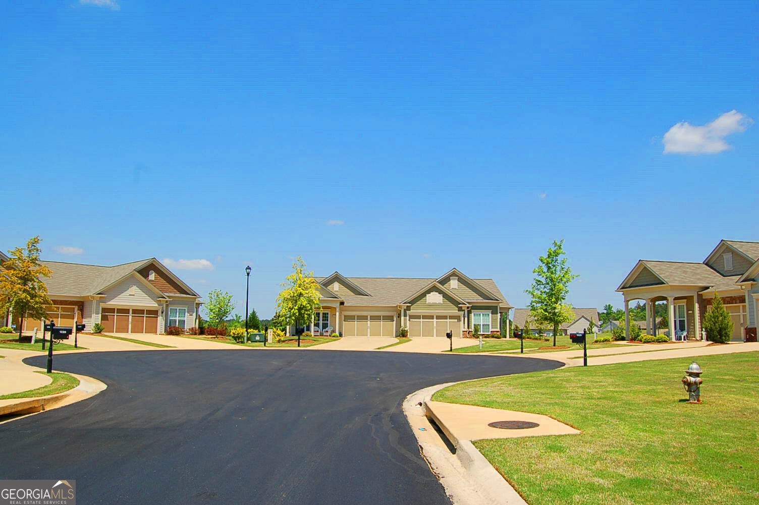 1211 Flat Rock Street Greensboro - 45