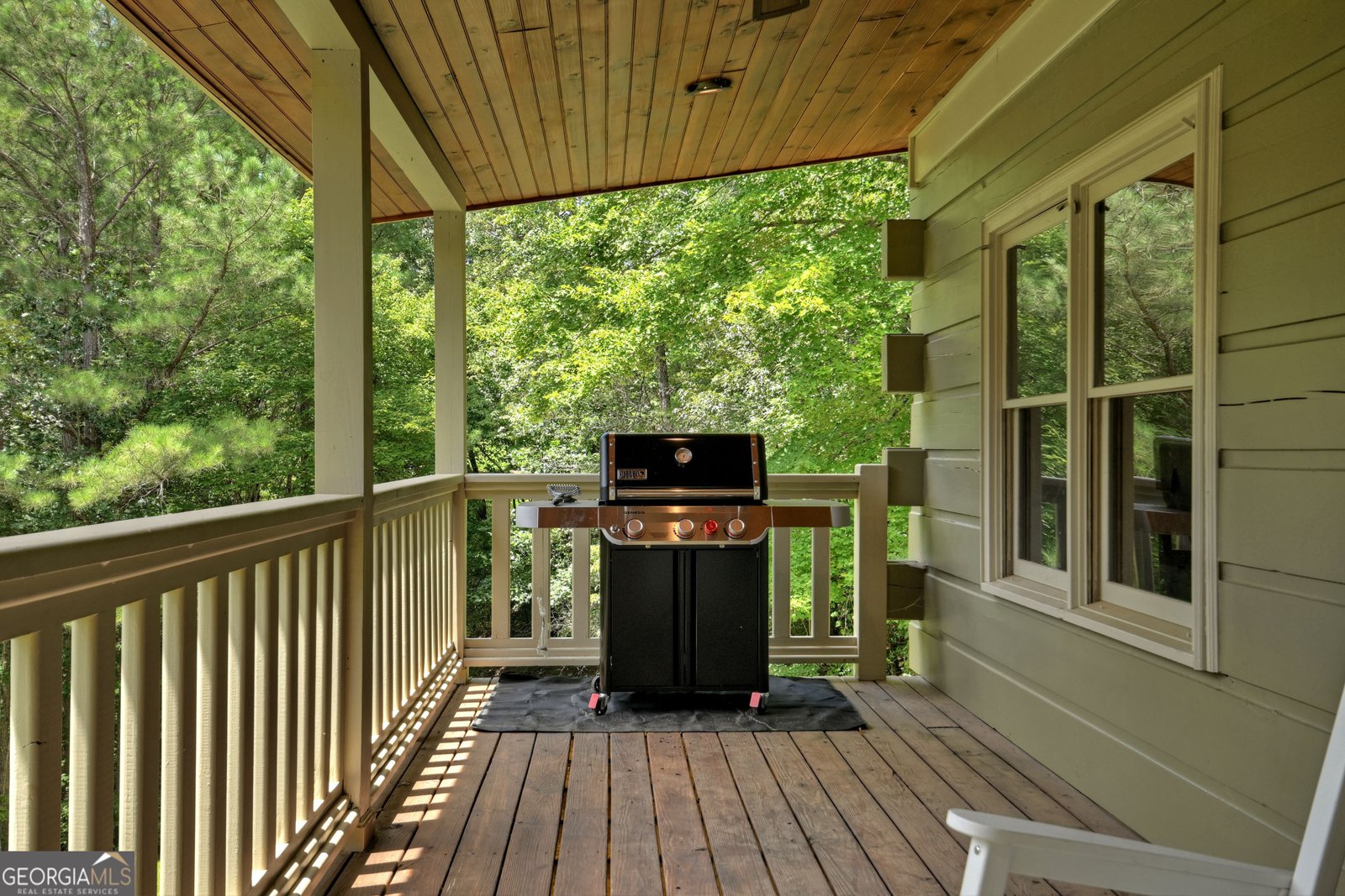 201 Parker Ridge Mineral Bluff - 10
