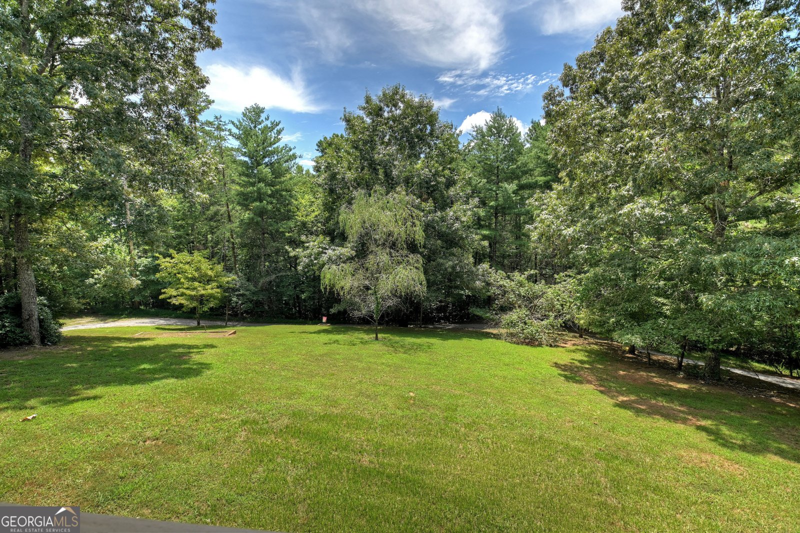 201 Parker Ridge Mineral Bluff - 5