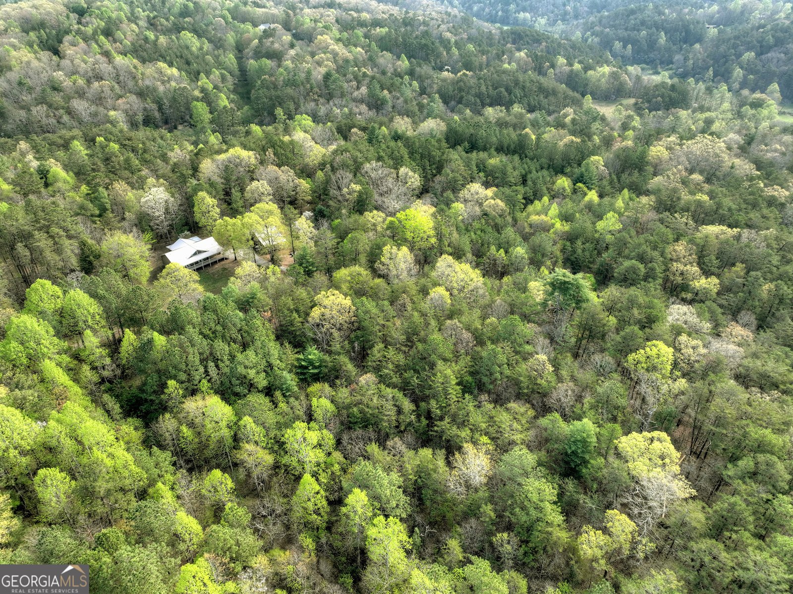 201 Parker Ridge Mineral Bluff - 51