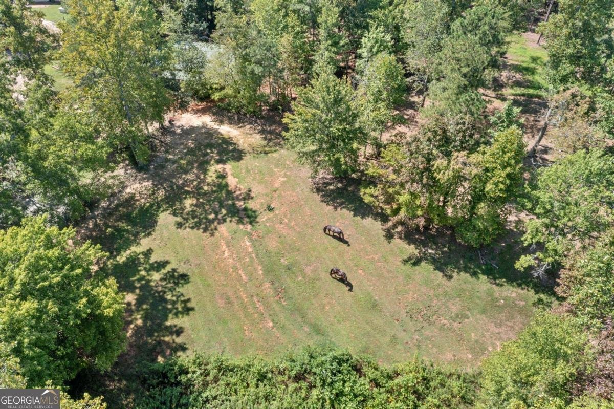 2383 Sperin Road Ball Ground - 43