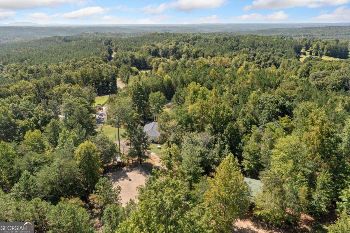 2383 Sperin Road Ball Ground - 44