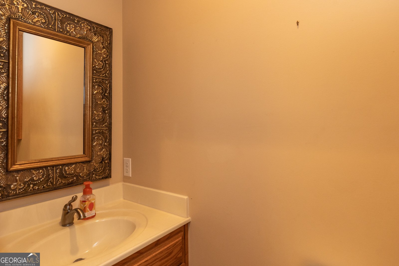 4446 Manor Millwood Road Waycross - 36