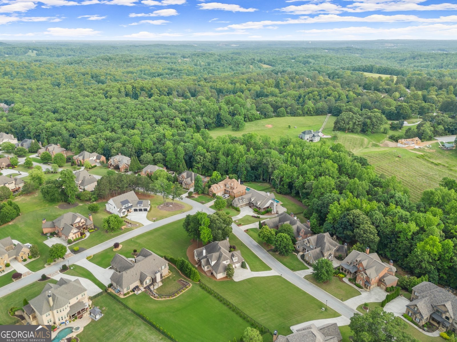 4729 Deer Creek Court Flowery Branch - 70