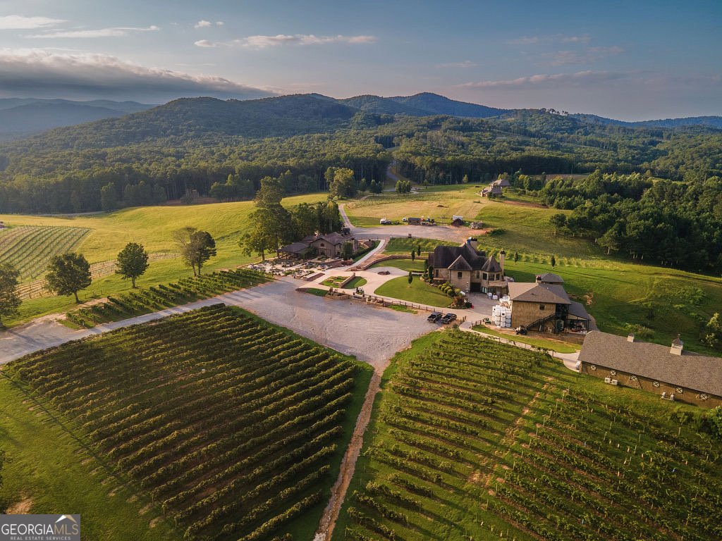 84 Bravo Way Ellijay - 99