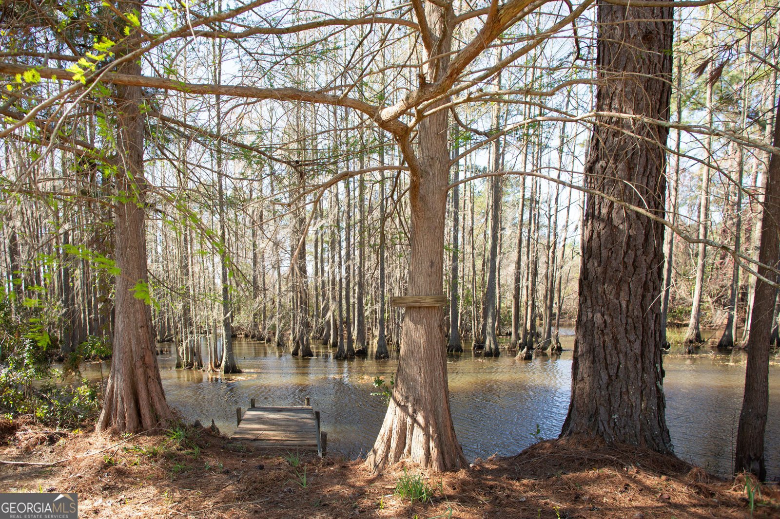 6524 Satilla Road Blackshear - 7