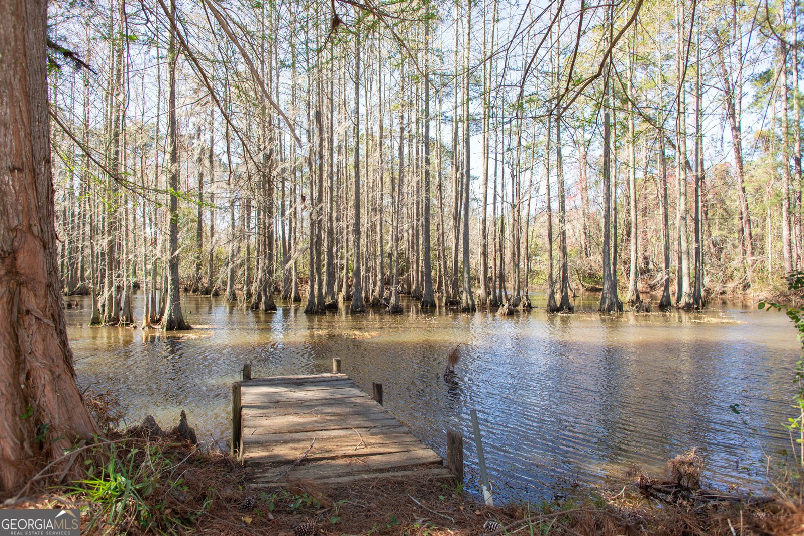 6524 Satilla Road Blackshear - 8