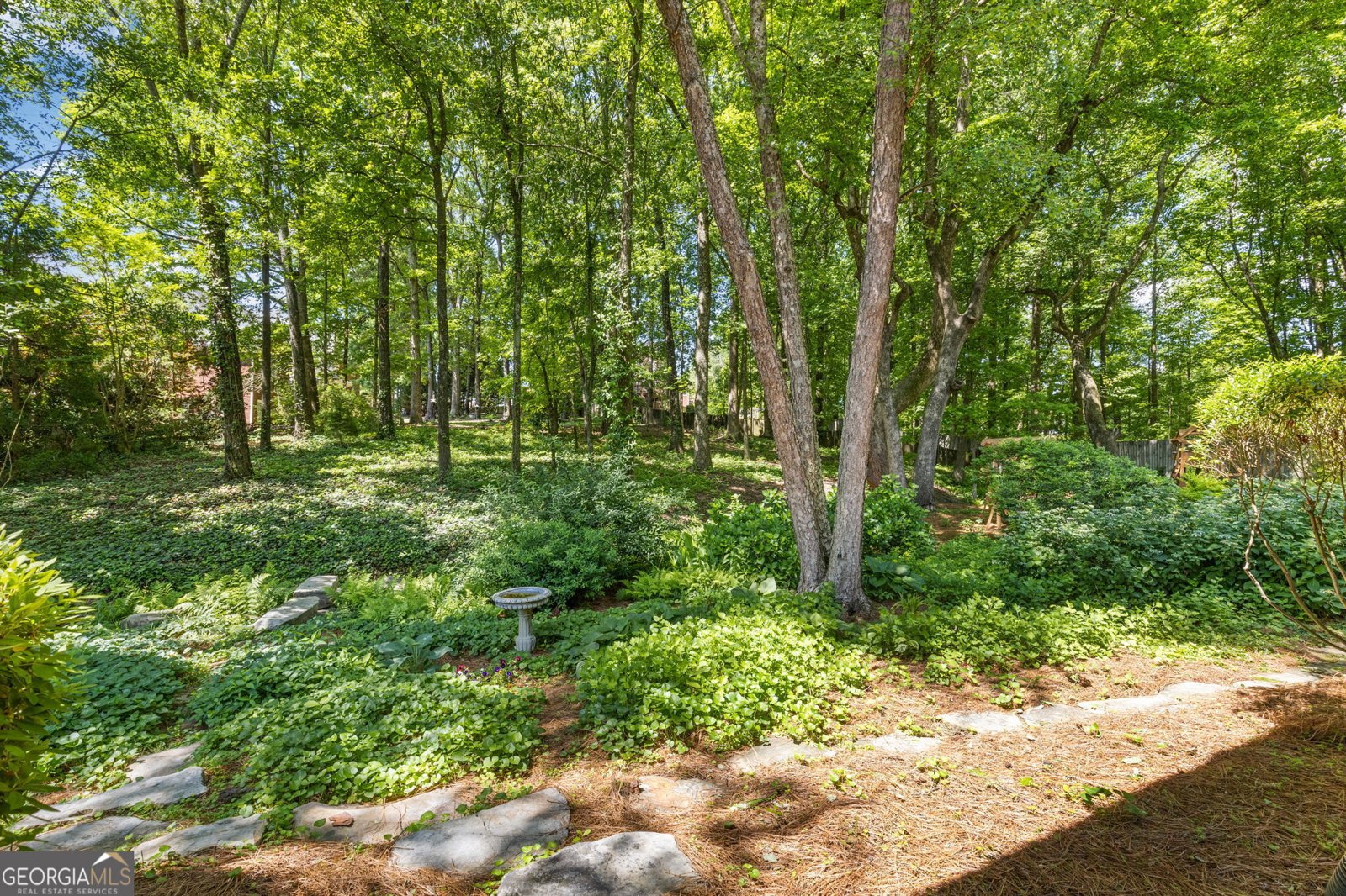 2802 Nettle Lane Buford - 47