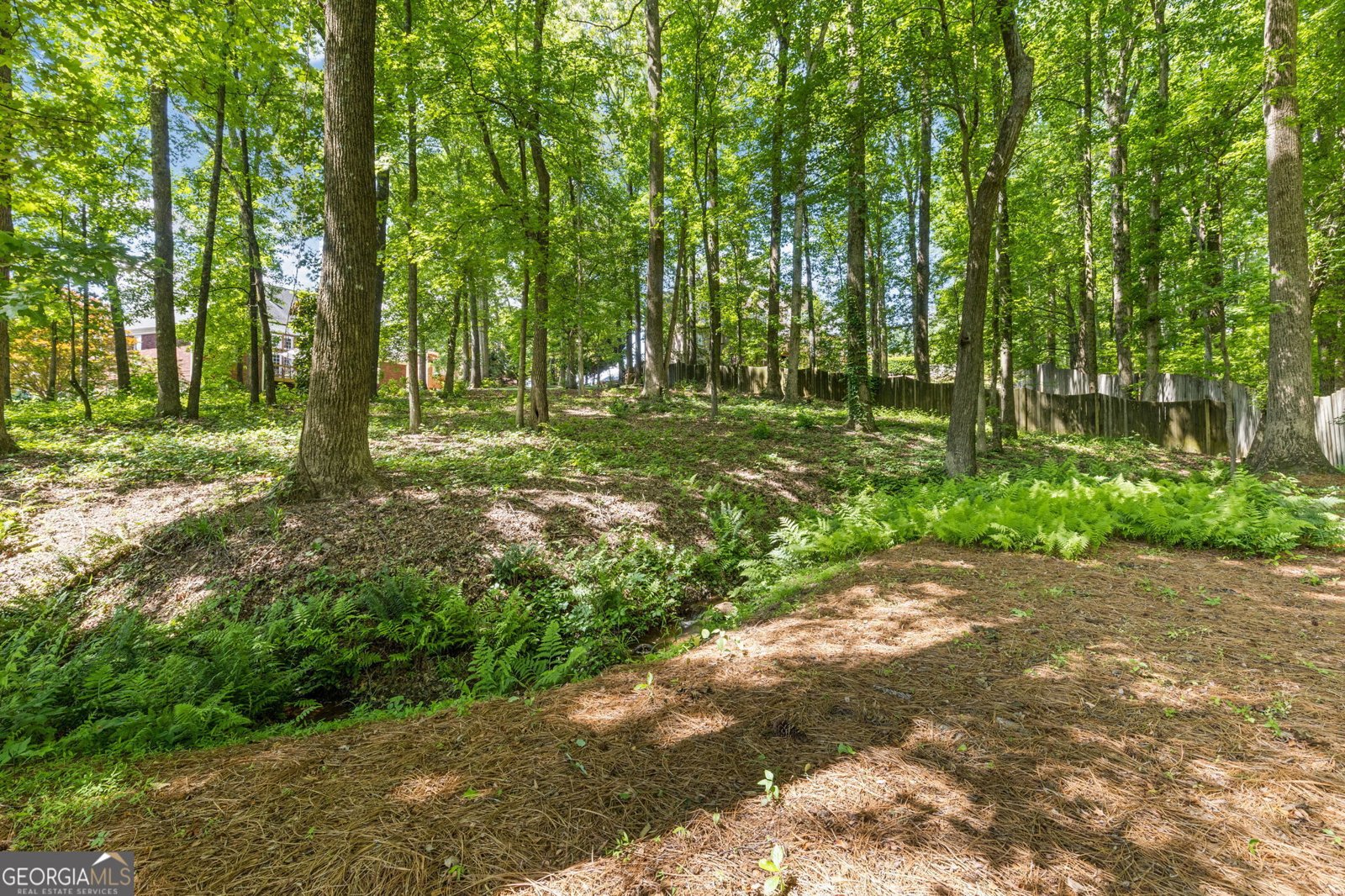 2802 Nettle Lane Buford - 53
