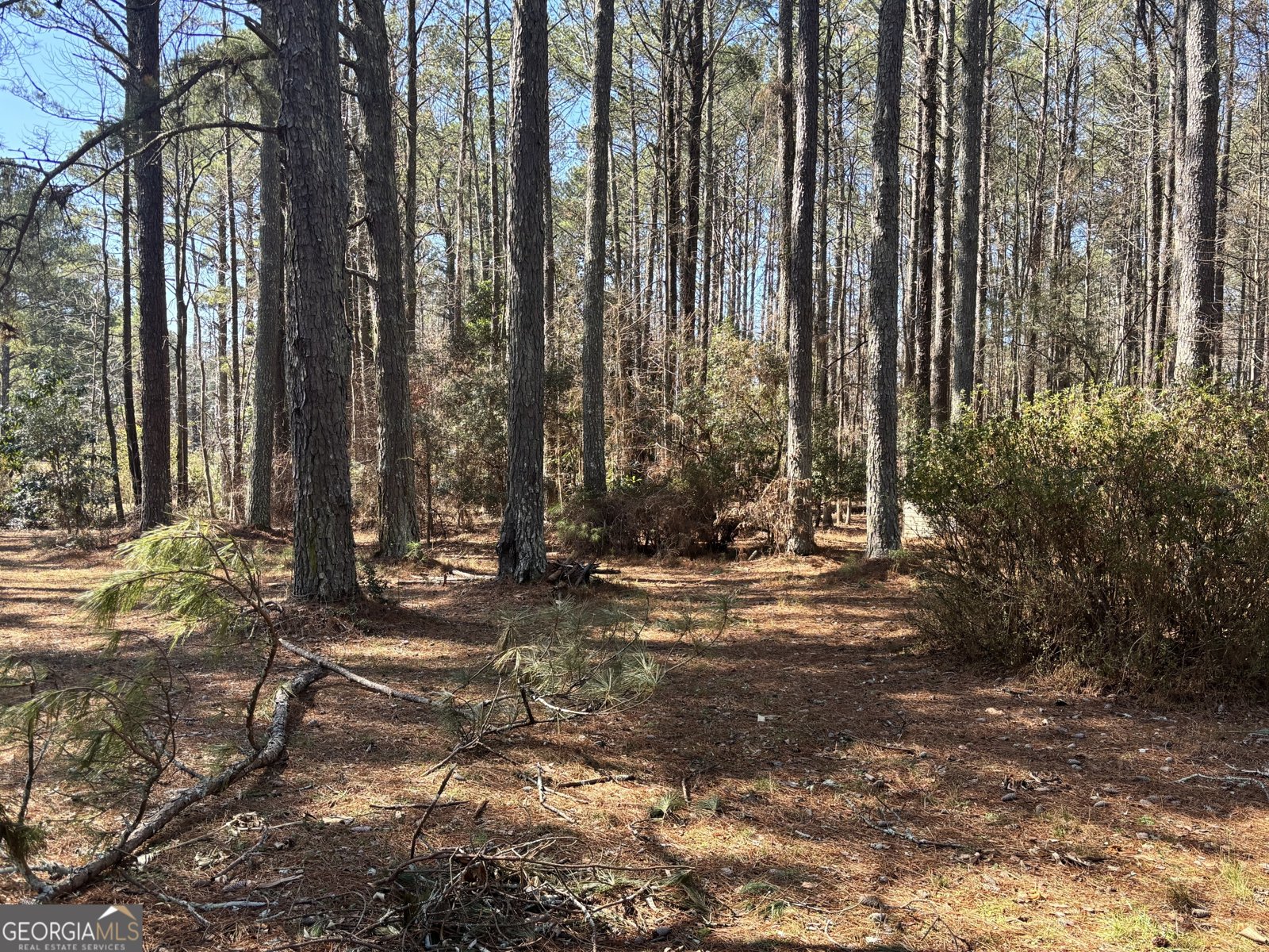 230 White Road Fayetteville - 2