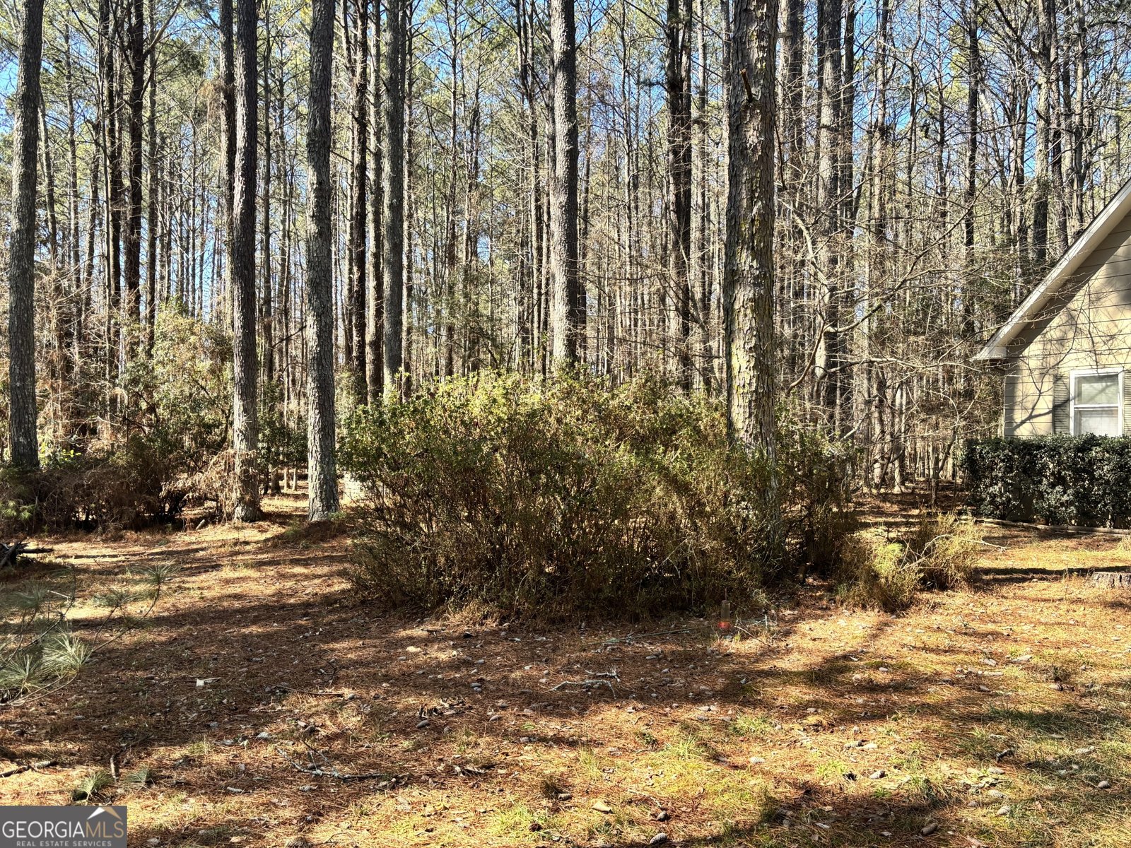 230 White Road Fayetteville - 3