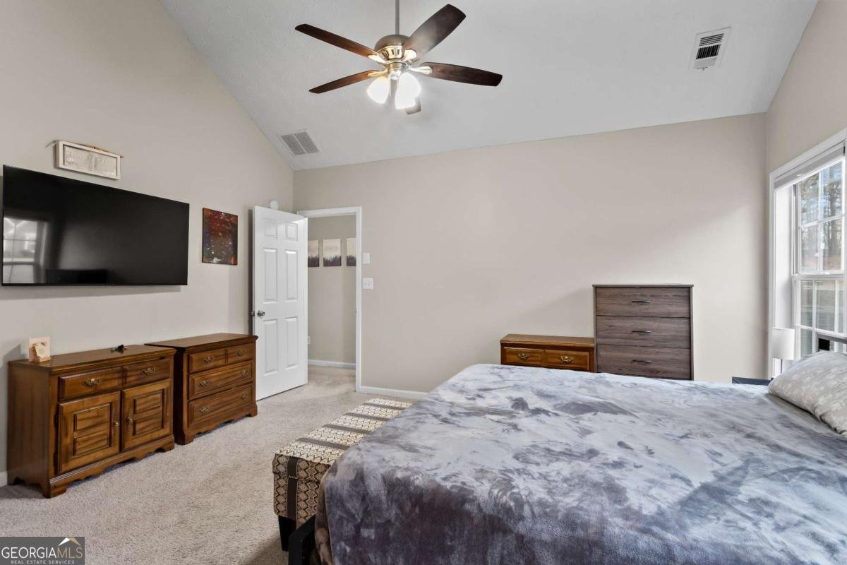 3130 GOLDMIST Drive Buford - 19