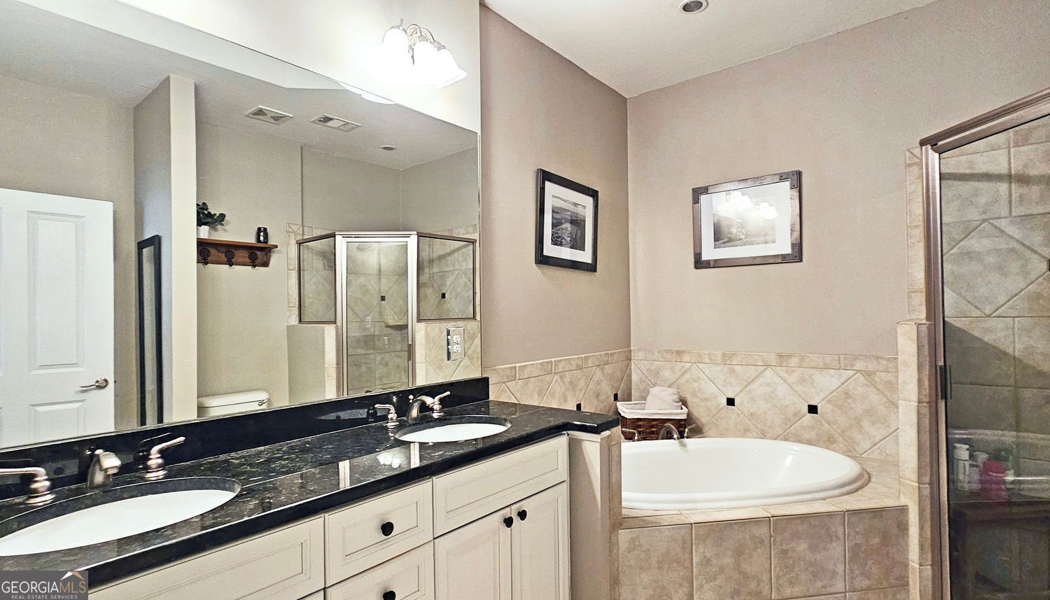 3699 Ashford Creek Hill Atlanta - 17