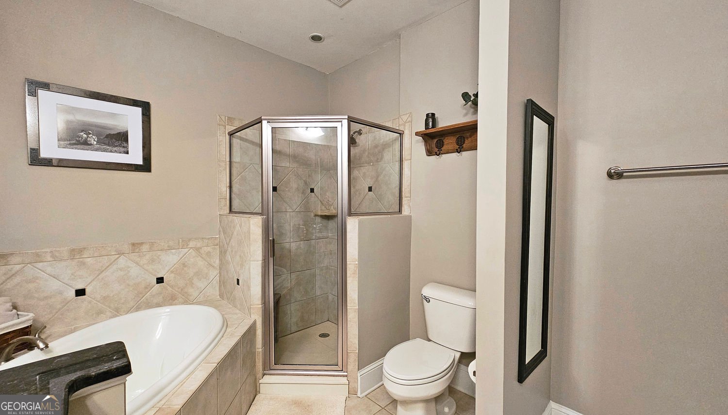 3699 Ashford Creek Hill Atlanta - 18