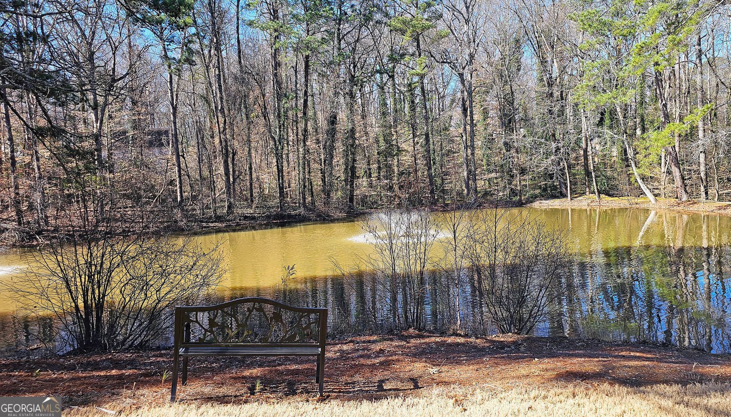 3699 Ashford Creek Hill Atlanta - 5