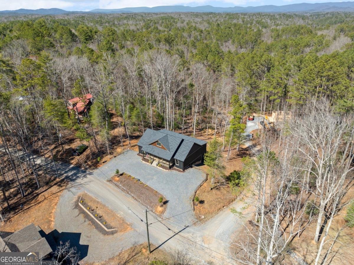 106 Francis Way Ellijay - 5