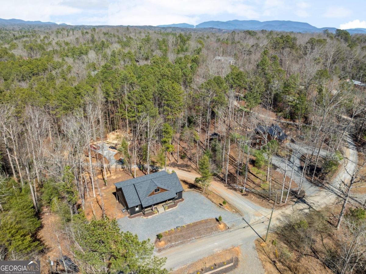 106 Francis Way Ellijay - 6