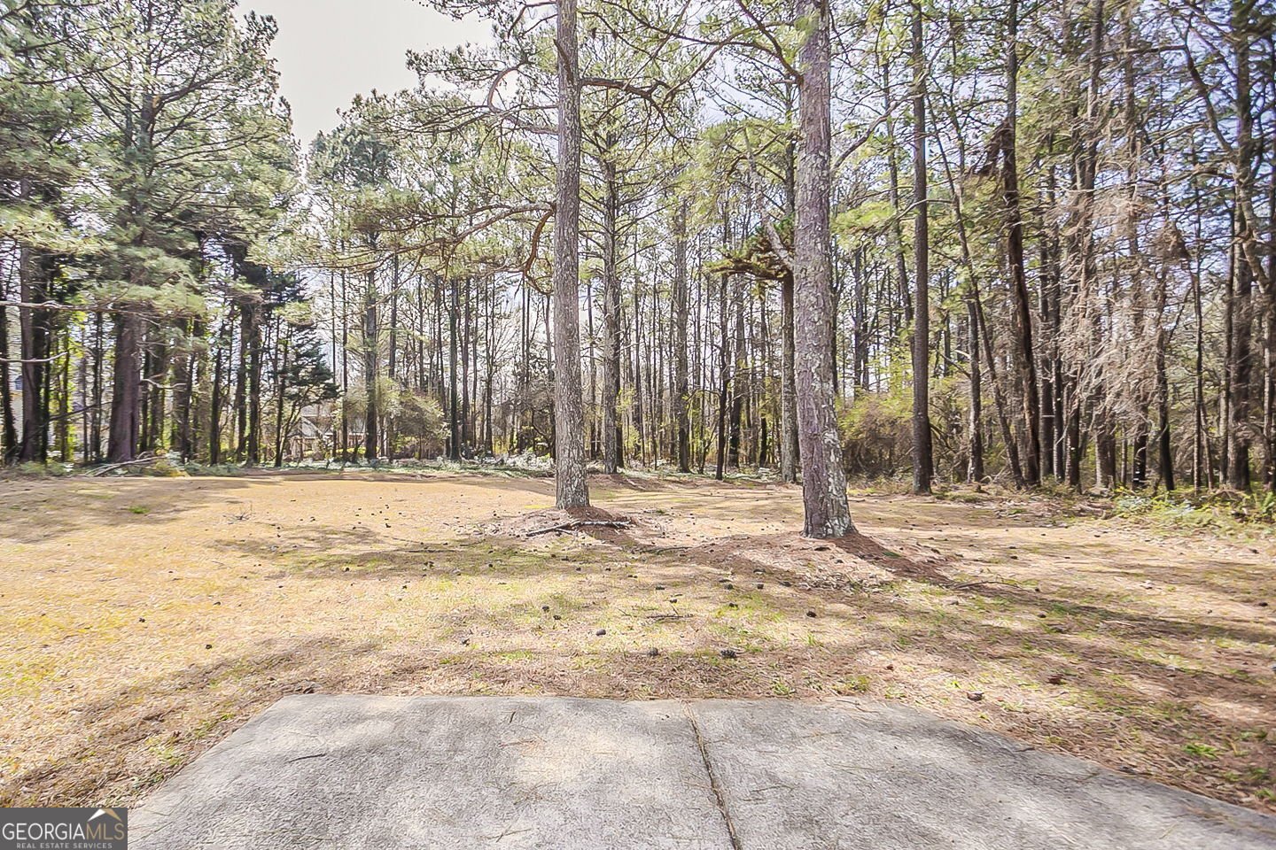 1621 Annapolis Way Grayson - 29