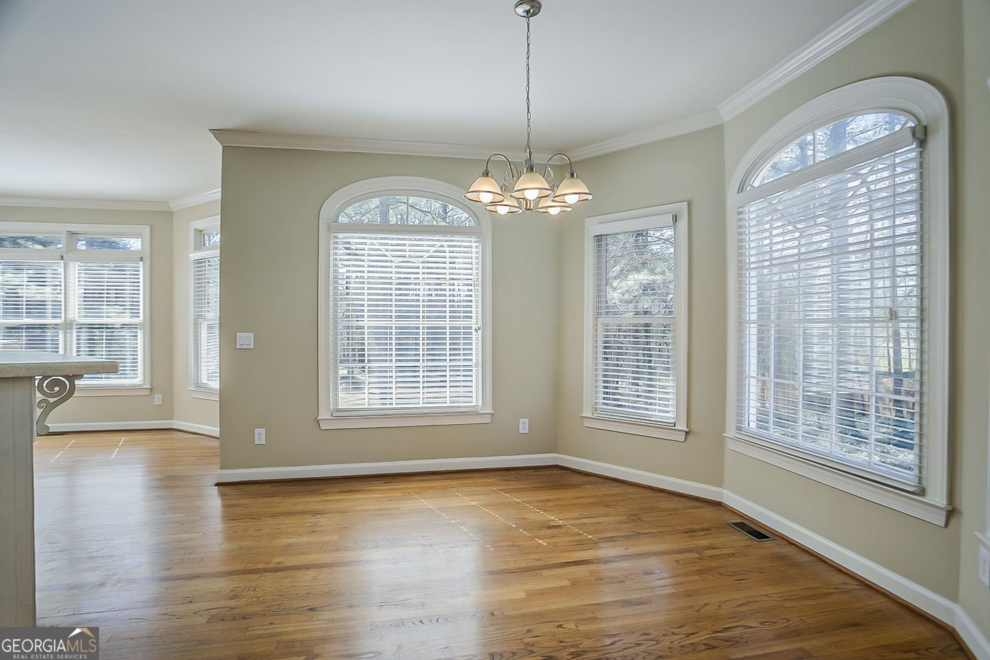 1621 Annapolis Way Grayson - 8