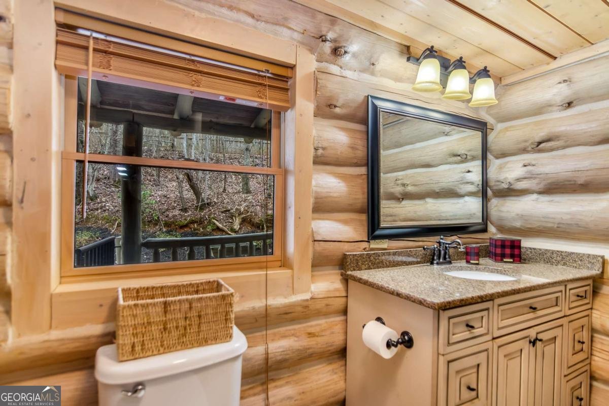 3680 Aska Road Blue Ridge - 19