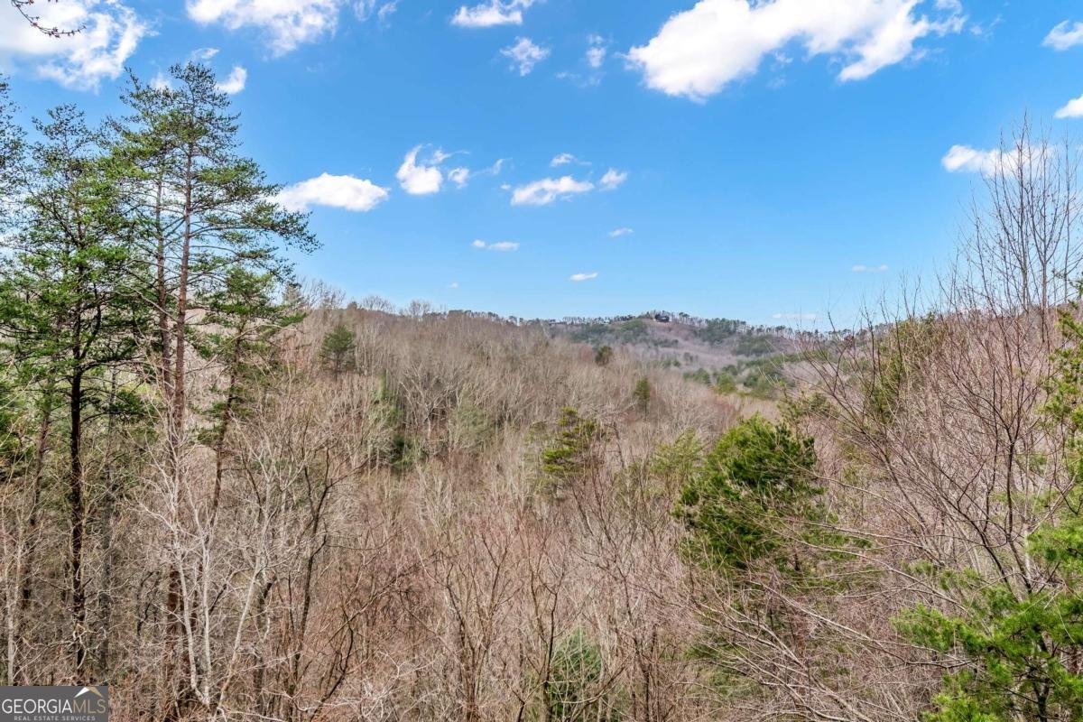 3680 Aska Road Blue Ridge - 3