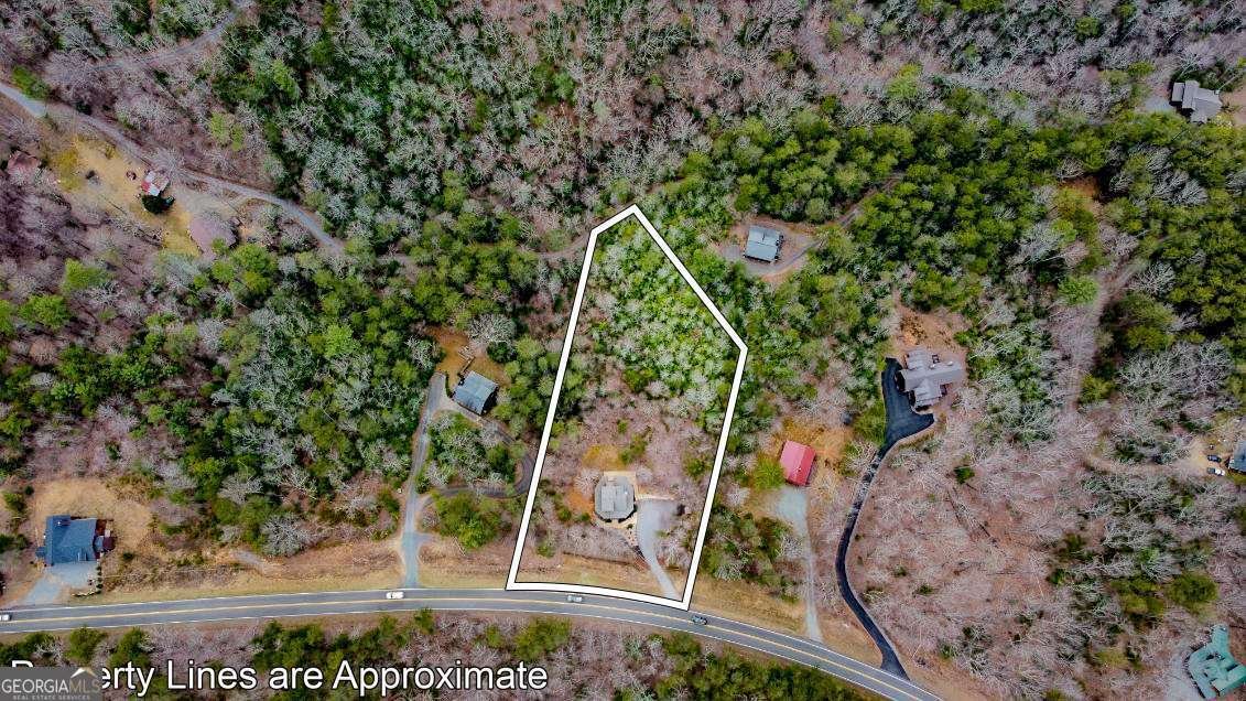 3680 Aska Road Blue Ridge - 43