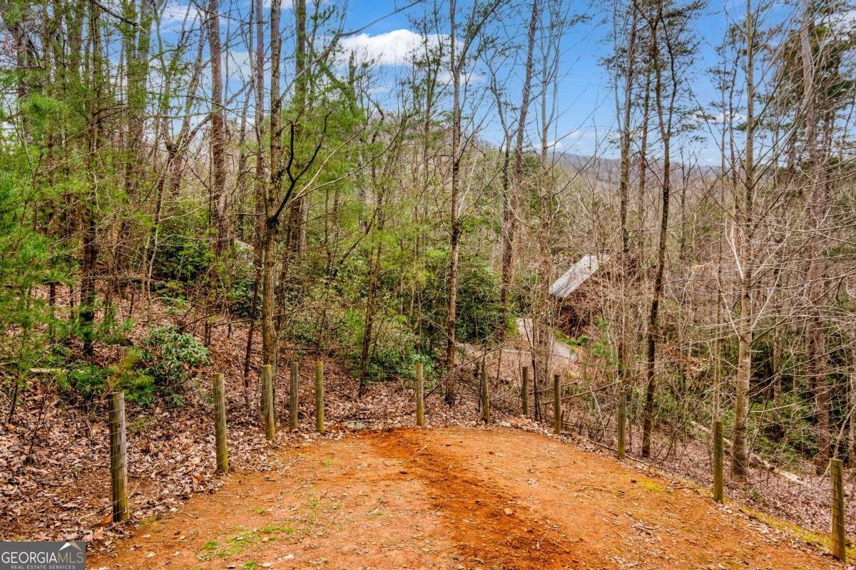 3680 Aska Road Blue Ridge - 44