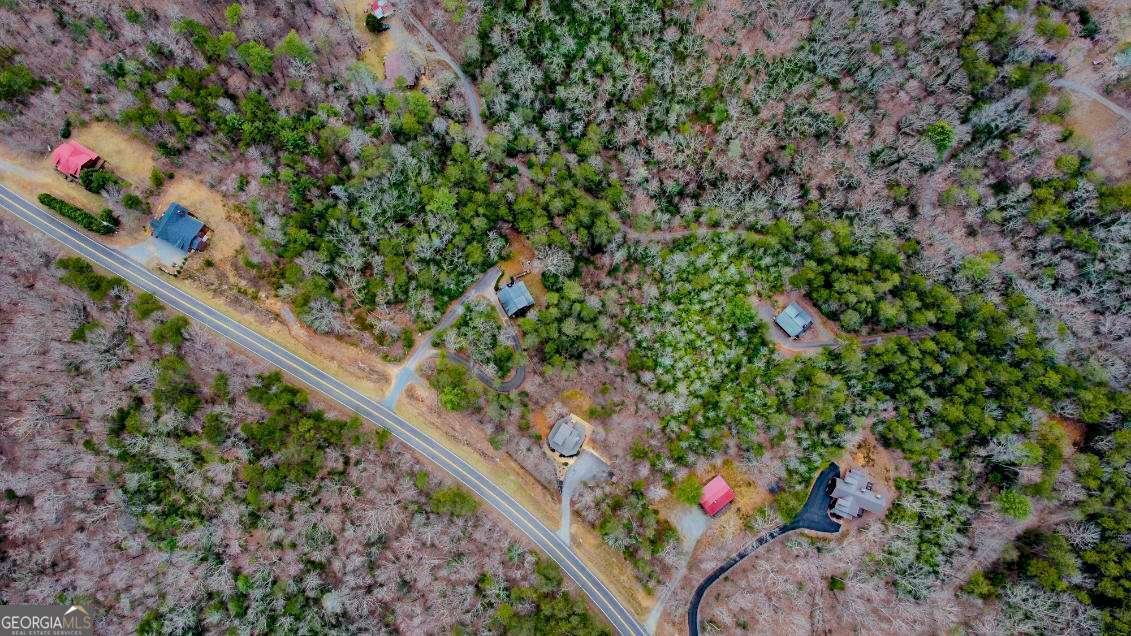 3680 Aska Road Blue Ridge - 46