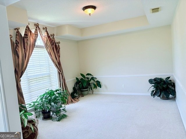 9002 Oakfield Drive Statesboro - 10